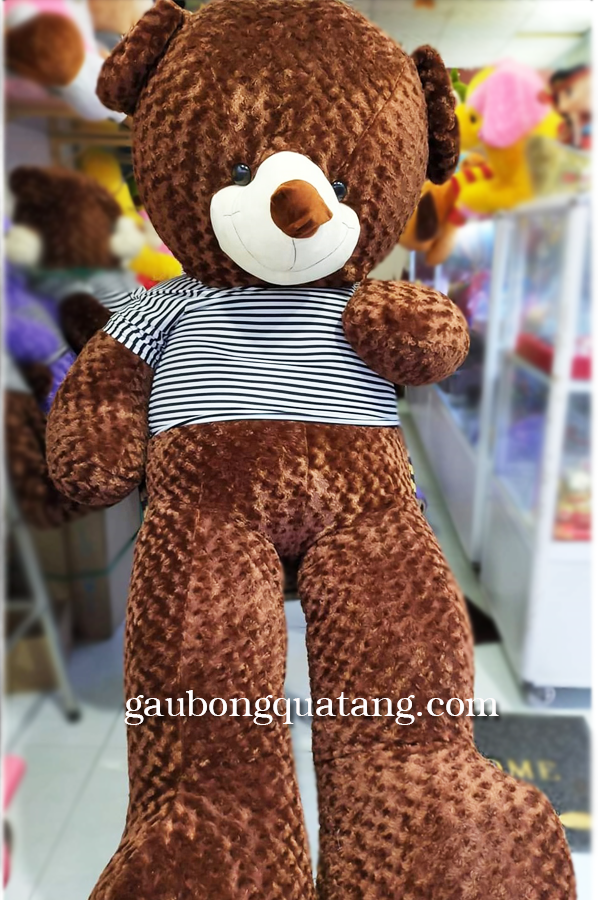 gau-bong-teddy-1m8